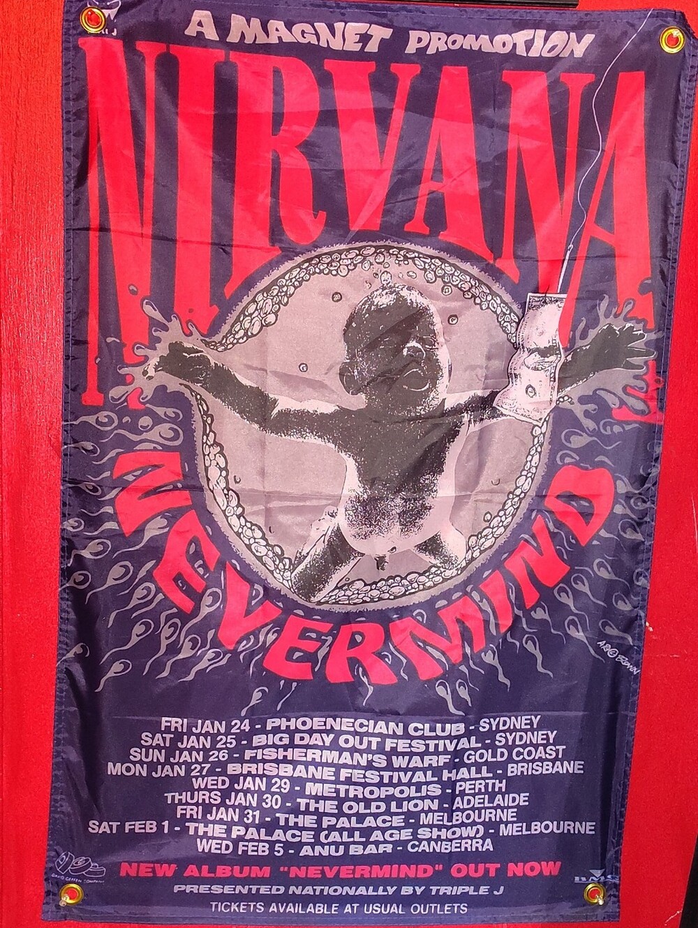 Nirvana Wall Tapestry Poster 23x34 Inches